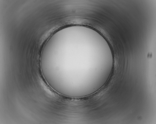 X0000112000445200908031050