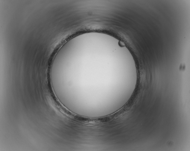 X0000112000447200908031050