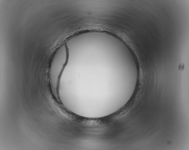 X0000112000449200908031051