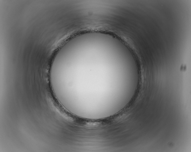 X0000112000450200908031051