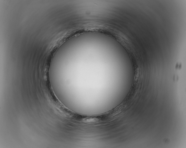 X0000112000452200908031051