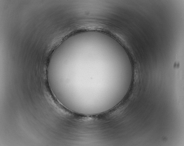 X0000112000453200908031051