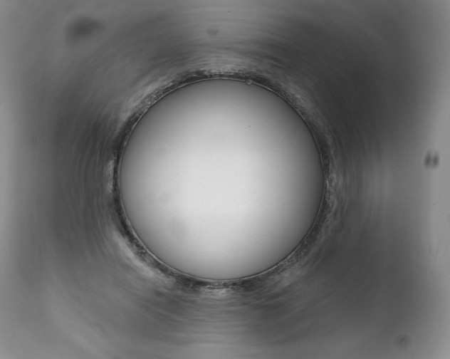 X0000112000454200908031051