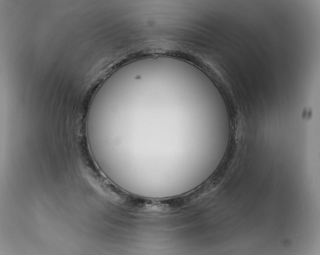 X0000112000455200908031051