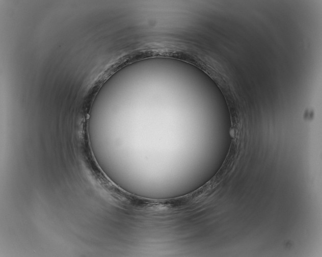 X0000112000456200908031051