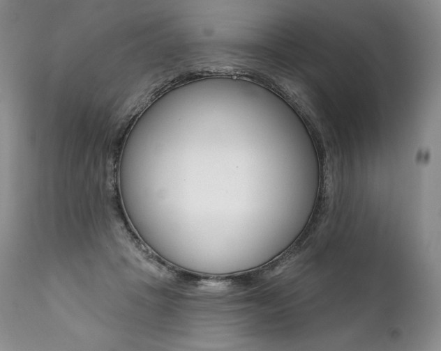 X0000112000457200908031051