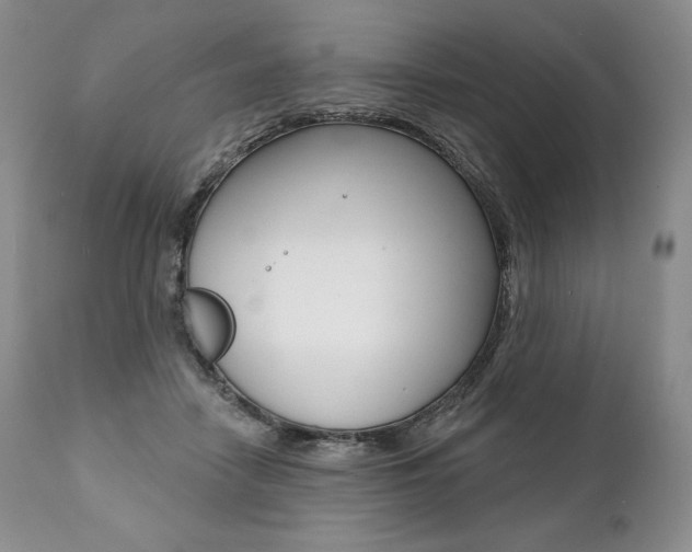 X0000112000458200908031051
