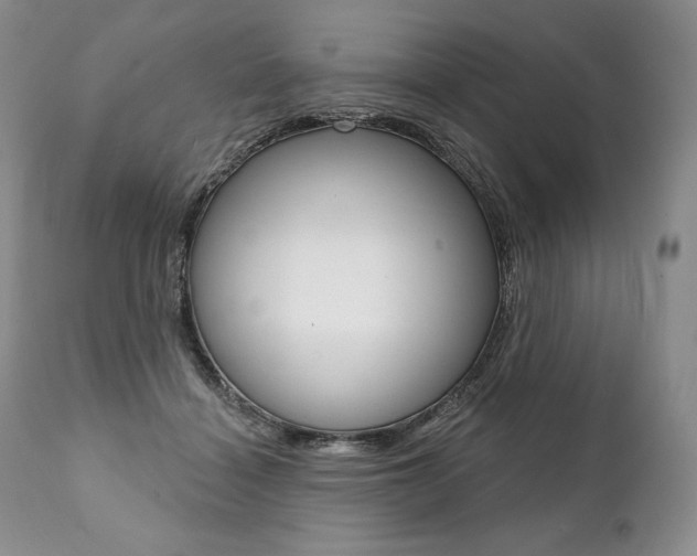X0000112000460200908031051