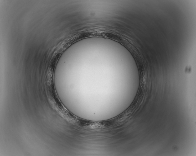 X0000112000468200908031051