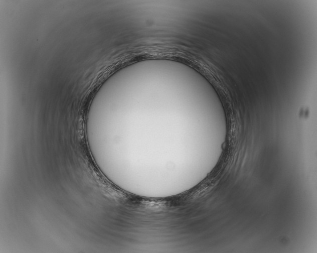 X0000112000469200908031051