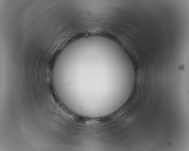 X0000112000470200908031051