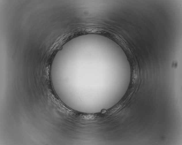 X0000112000473200908031051