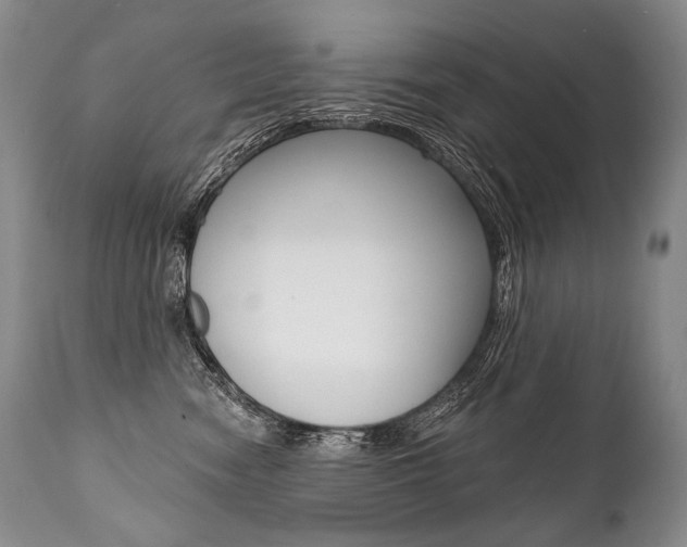 X0000112000474200908031051