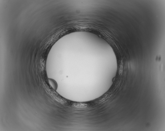 X0000112000476200908031051