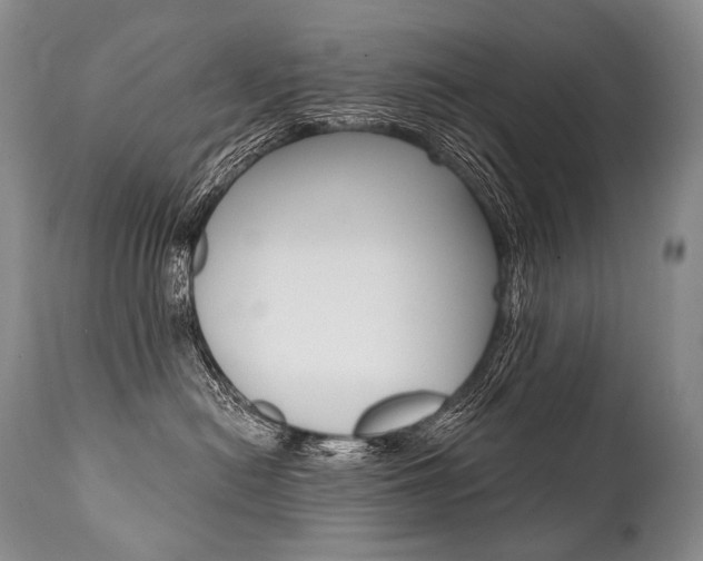 X0000112000478200908031051