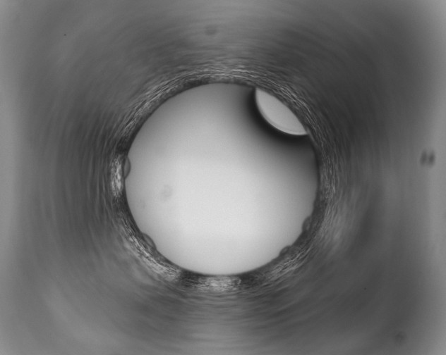 X0000112000479200908031051