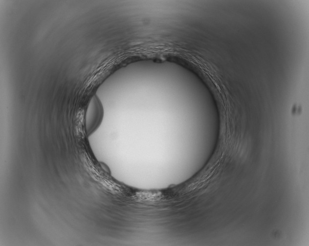 X0000112000480200908031051