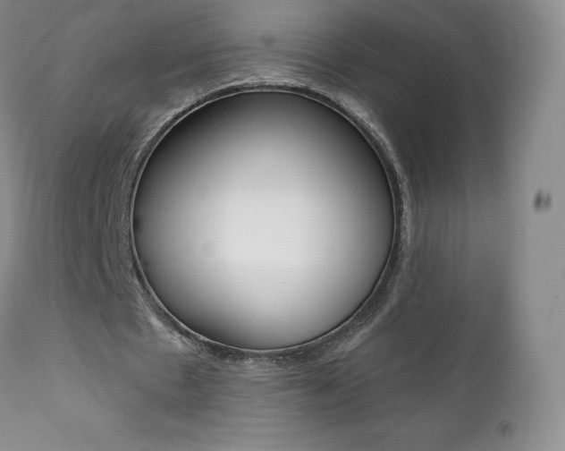 X0000112000481200908031050