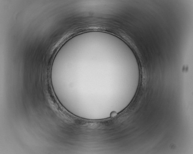 X0000112000482200908031050