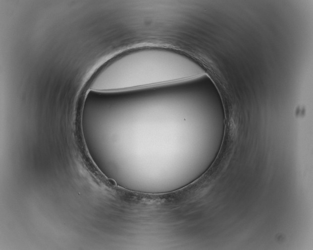 X0000112000484200908031050
