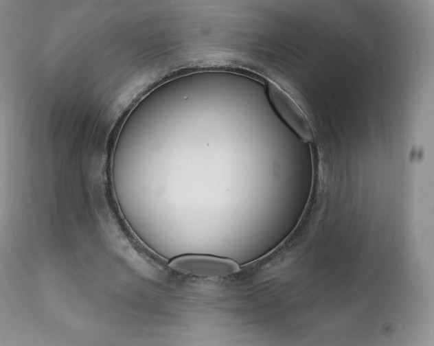 X0000112000485200908031050