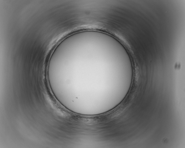 X0000112000486200908031050