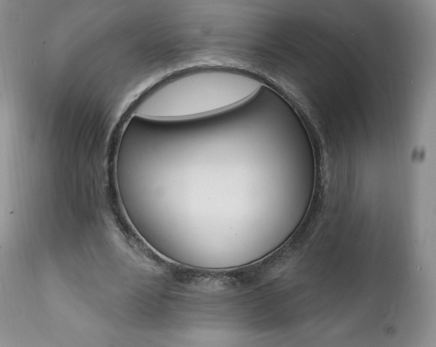 X0000112000488200908031050