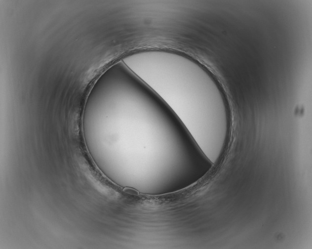 X0000112000489200908031050