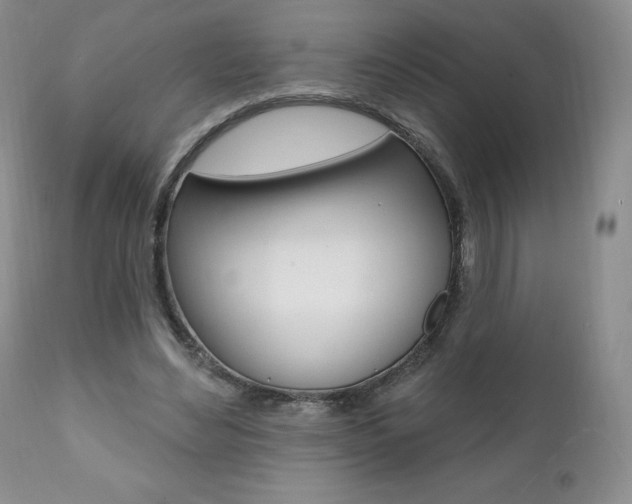 X0000112000492200908031050