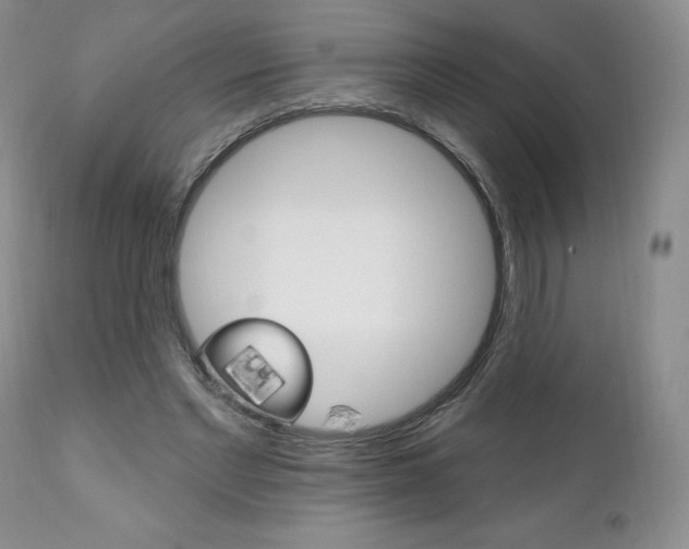 X0000112000493200908031050