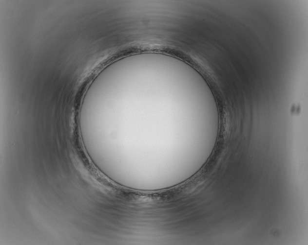 X0000112000494200908031050