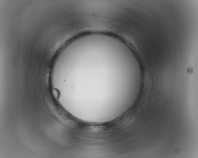 X0000112000495200908031050
