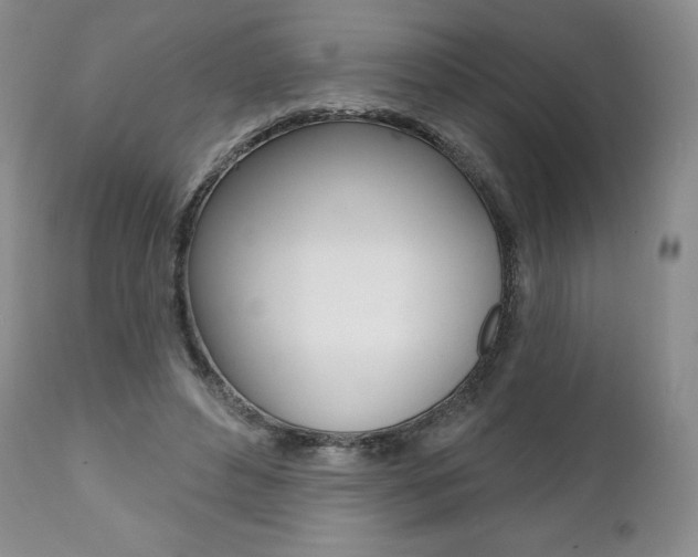 X0000112000496200908031050