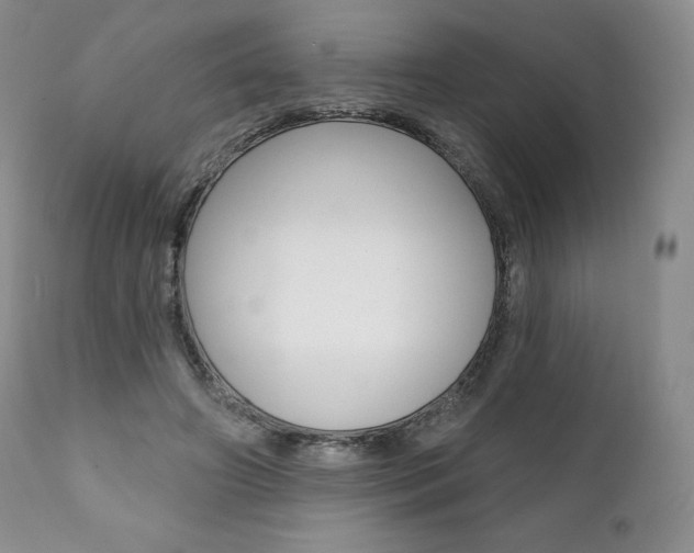 X0000112000498200908031050
