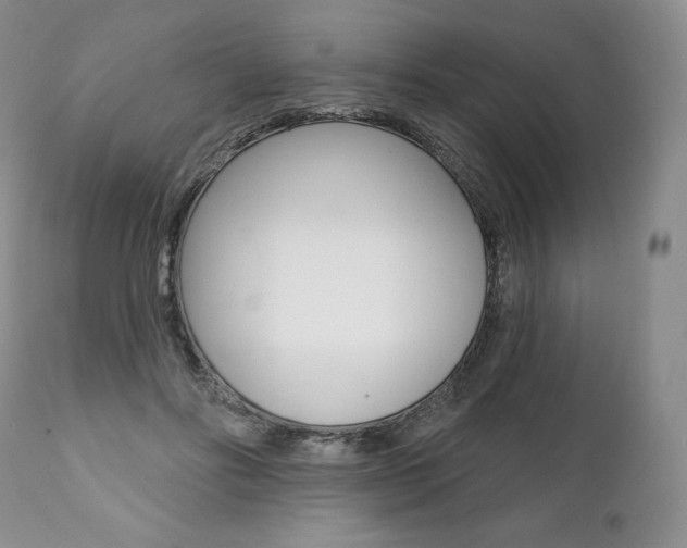 X0000112000502200908031050