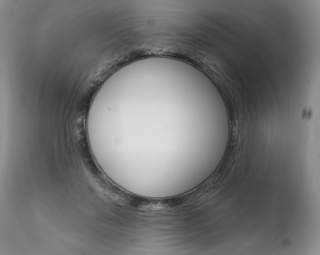 X0000112000503200908031050