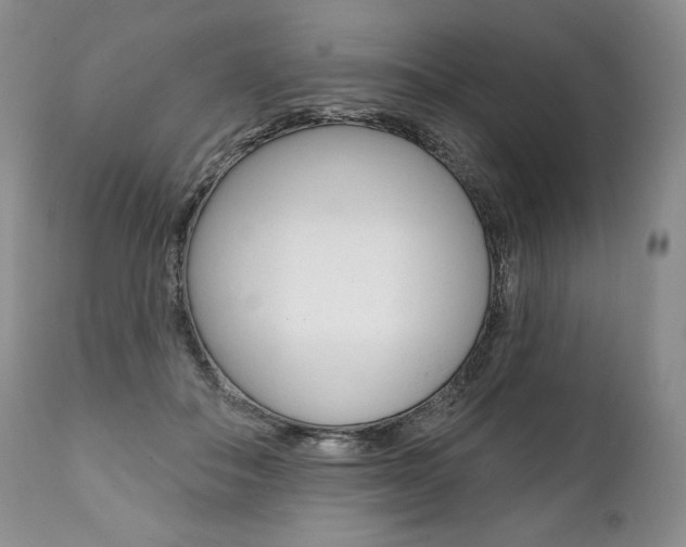 X0000112000506200908031050