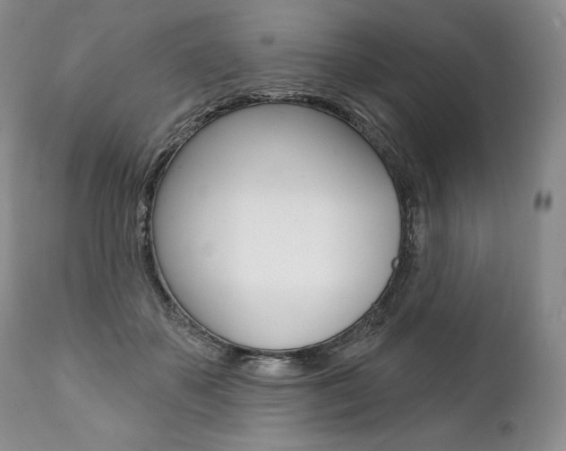X0000112000507200908031050