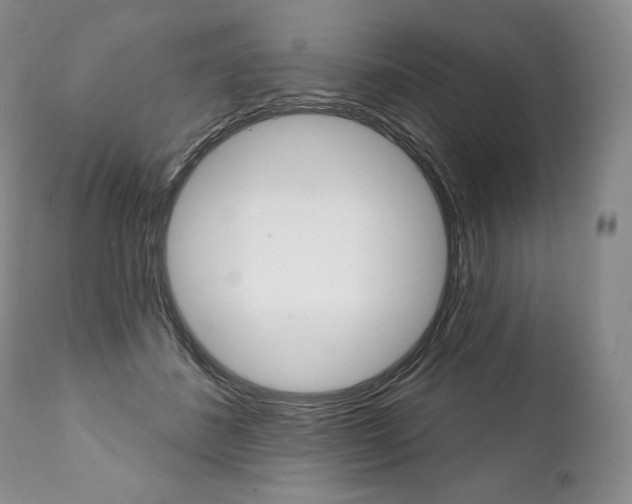 X0000112000508200908031050