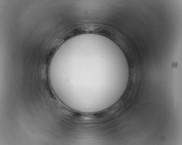 X0000112000510200908031050