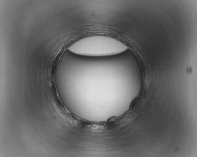 X0000112000512200908031050
