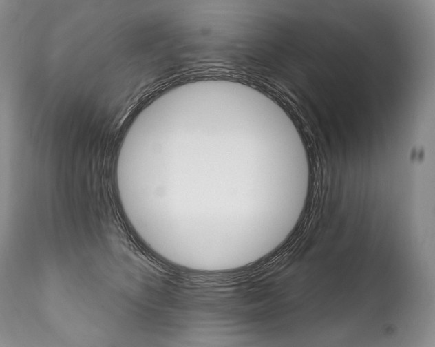 X0000112000516200908031049