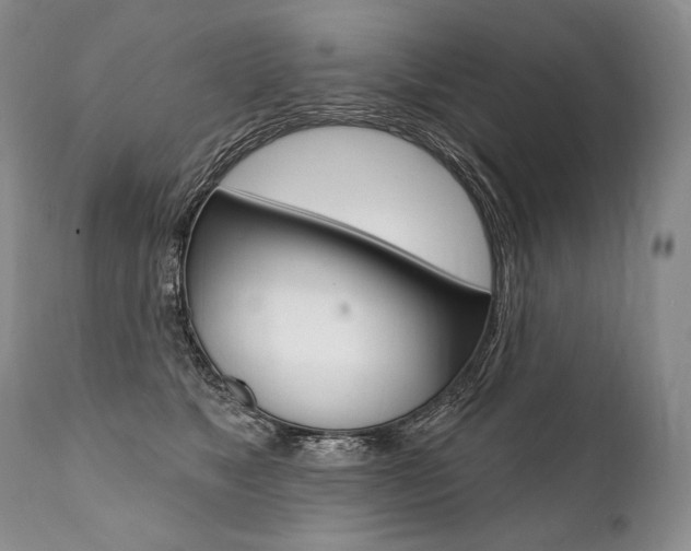 X0000112000517200908031049