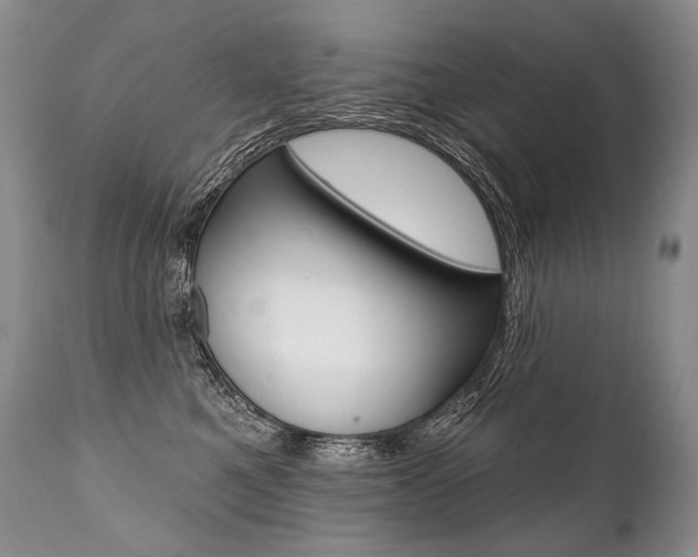 X0000112000521200908031049