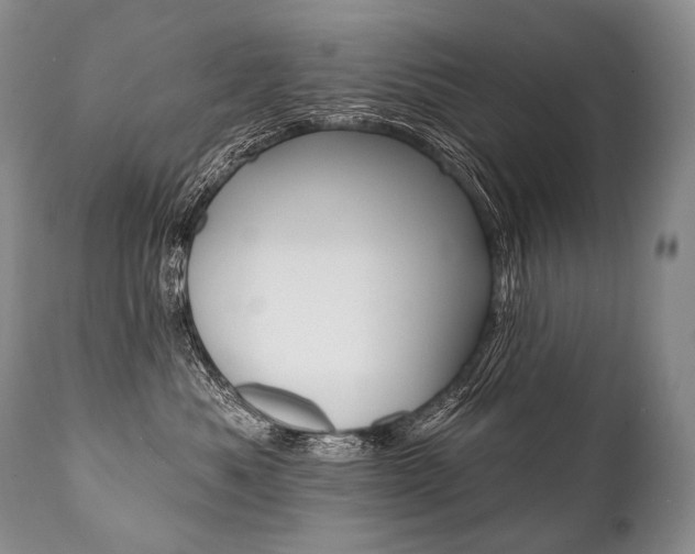 X0000112000525200908031049
