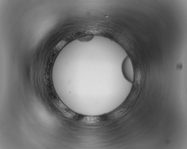 X0000112000526200908031049