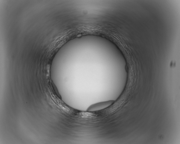 X0000112000528200908031049