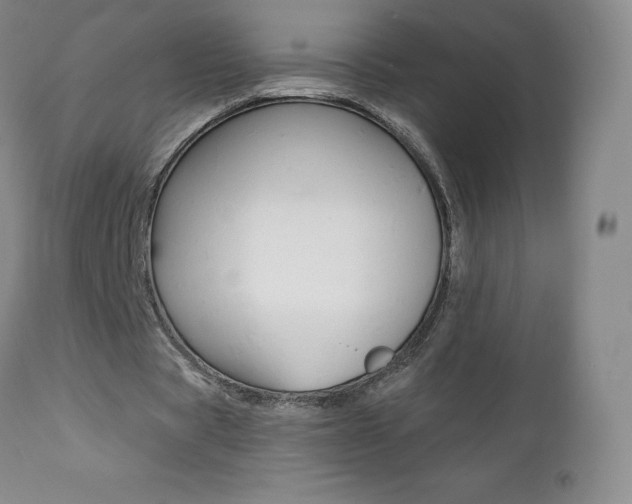 X0000112000529200908031048