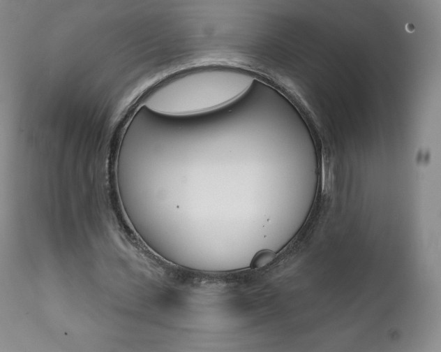 X0000112000531200908031048