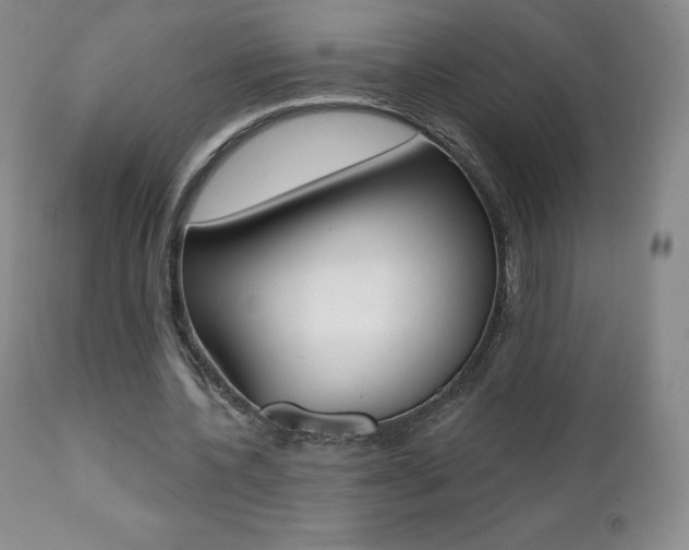 X0000112000532200908031048